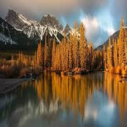 امیر حسین جمعه زاده  دختر بابا
